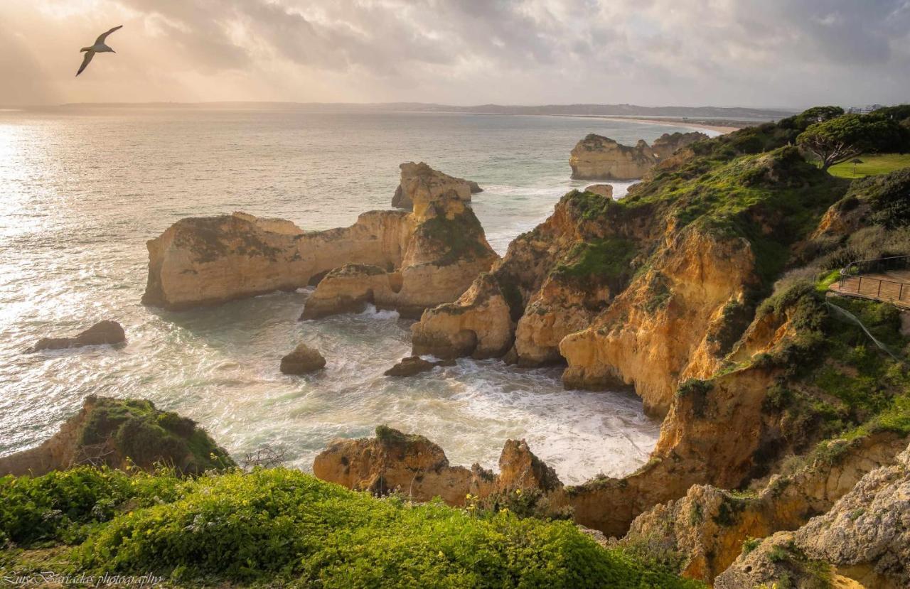Amazing Sea View Apartment Portimao