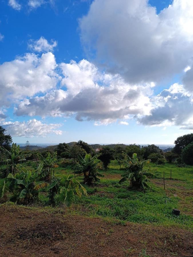 Farm stay Vinha Do Gaio