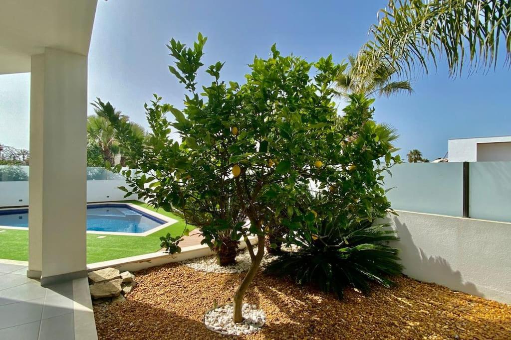 Limoeiro - Beautiful New Nestled In The Heart Of Gale