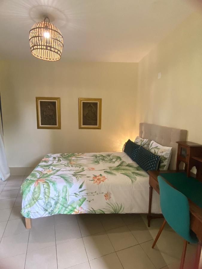 Dazk Golden Estate Guest house Ribeira Brava