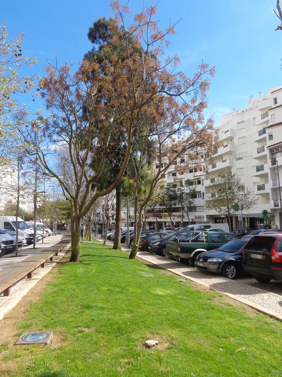 Avenida Da Liberdade *