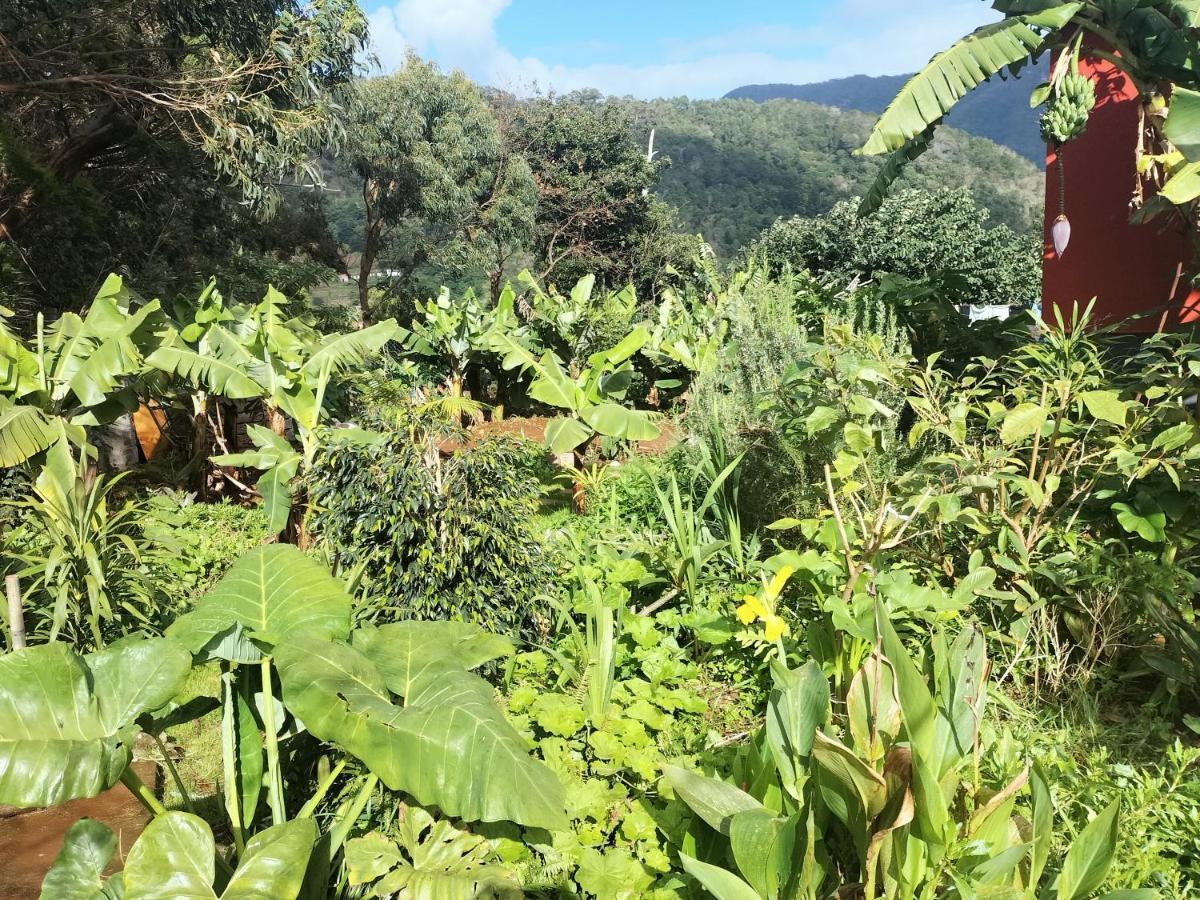 Sea Mountain House Holiday home Machico (Madeira)