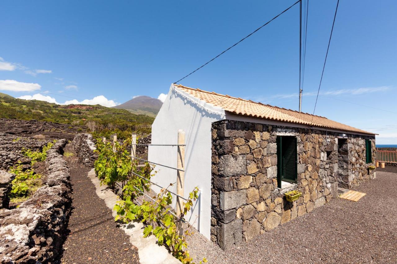 Cantinho Do Sossego Holiday home