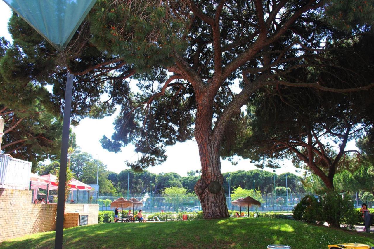 Caparica Sun Centre *