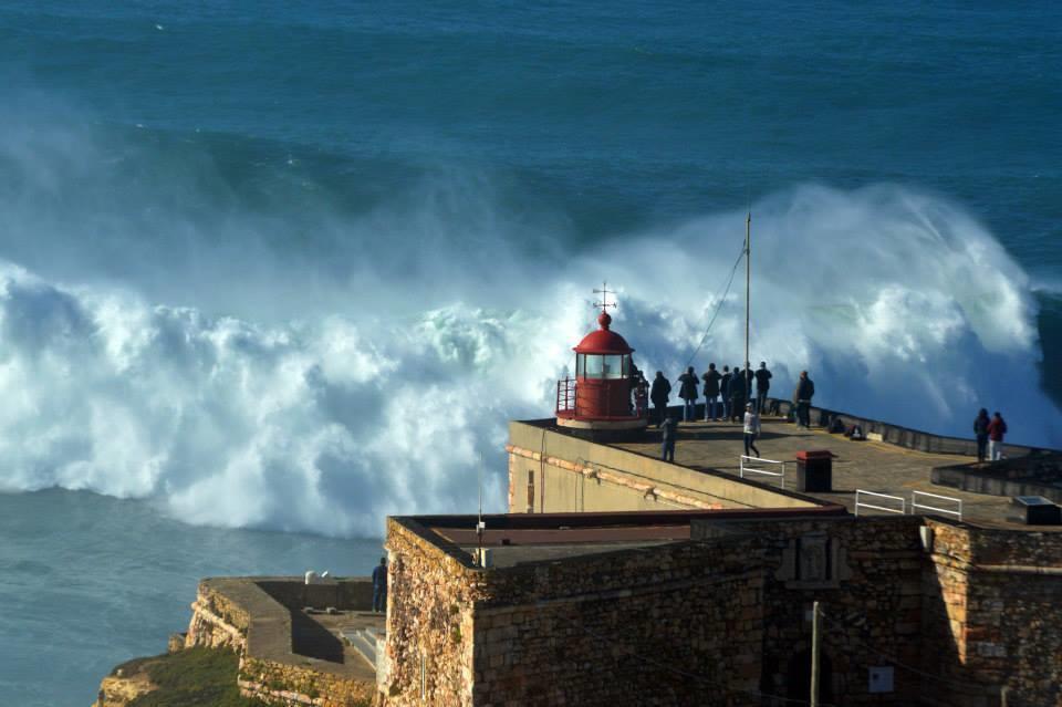 Guest house Ricardo Holidays At