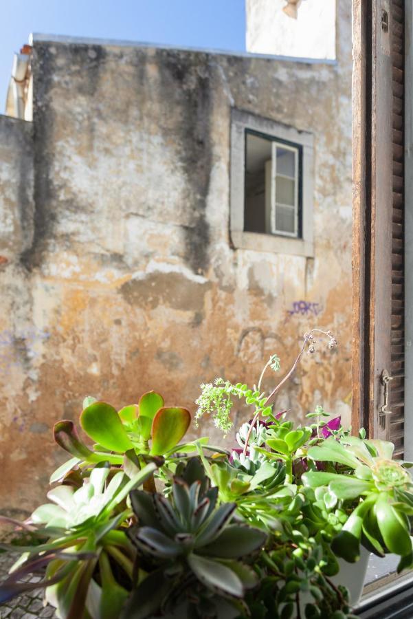 New! Nomad Dreams N.3 Apartment Cascais