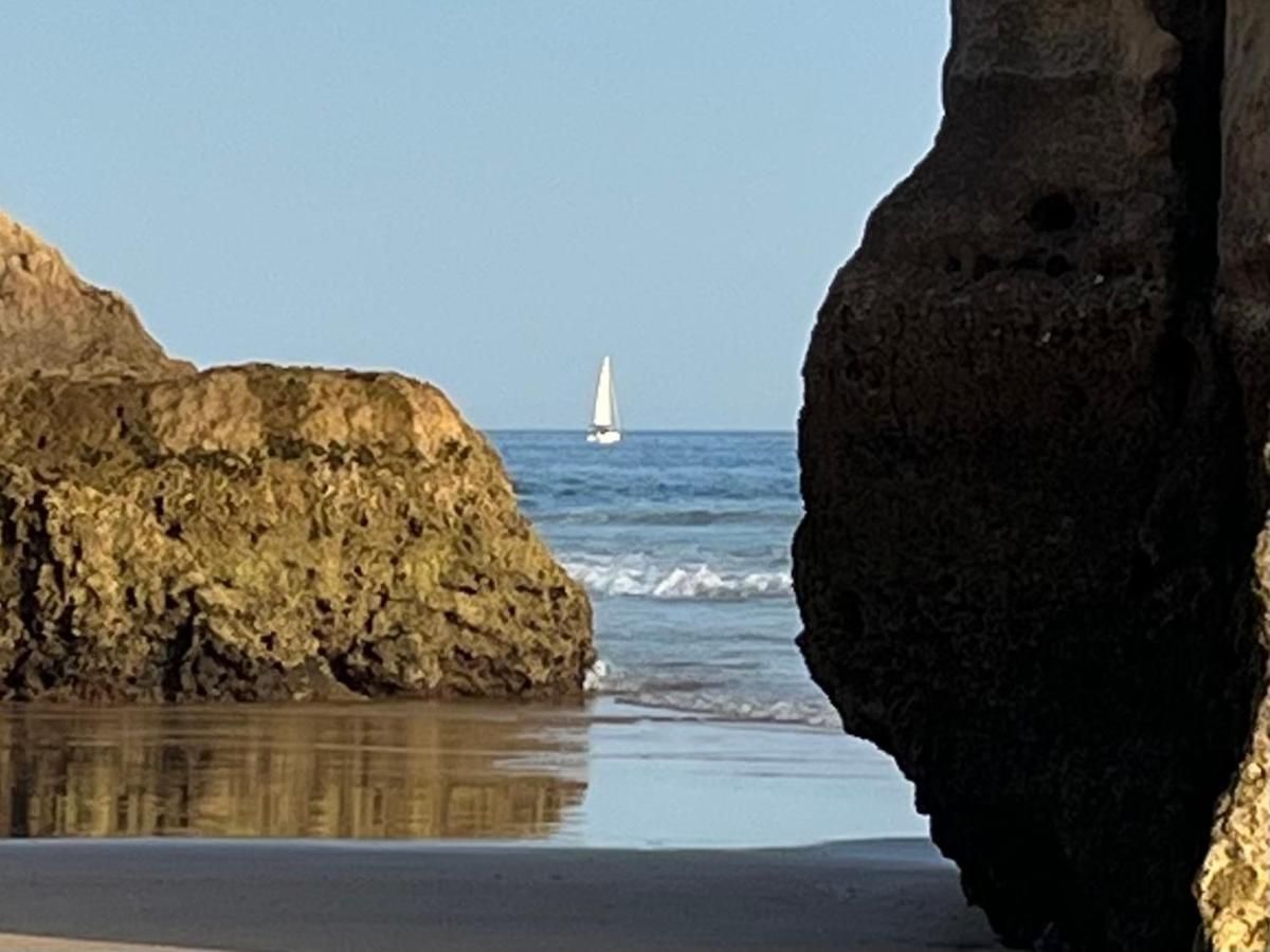 Gm Premium Portimao