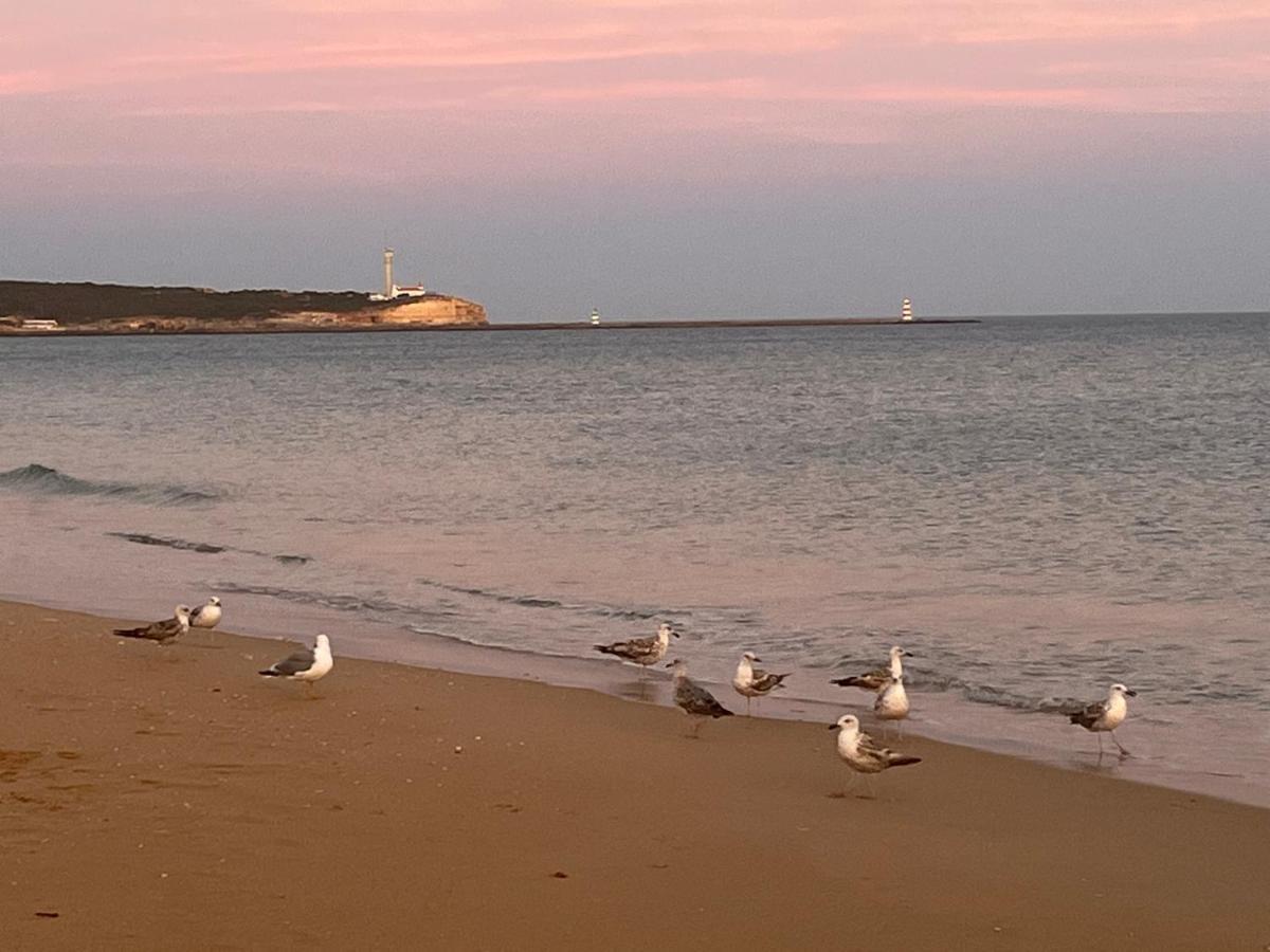 Apartment Gm Premium Portimao