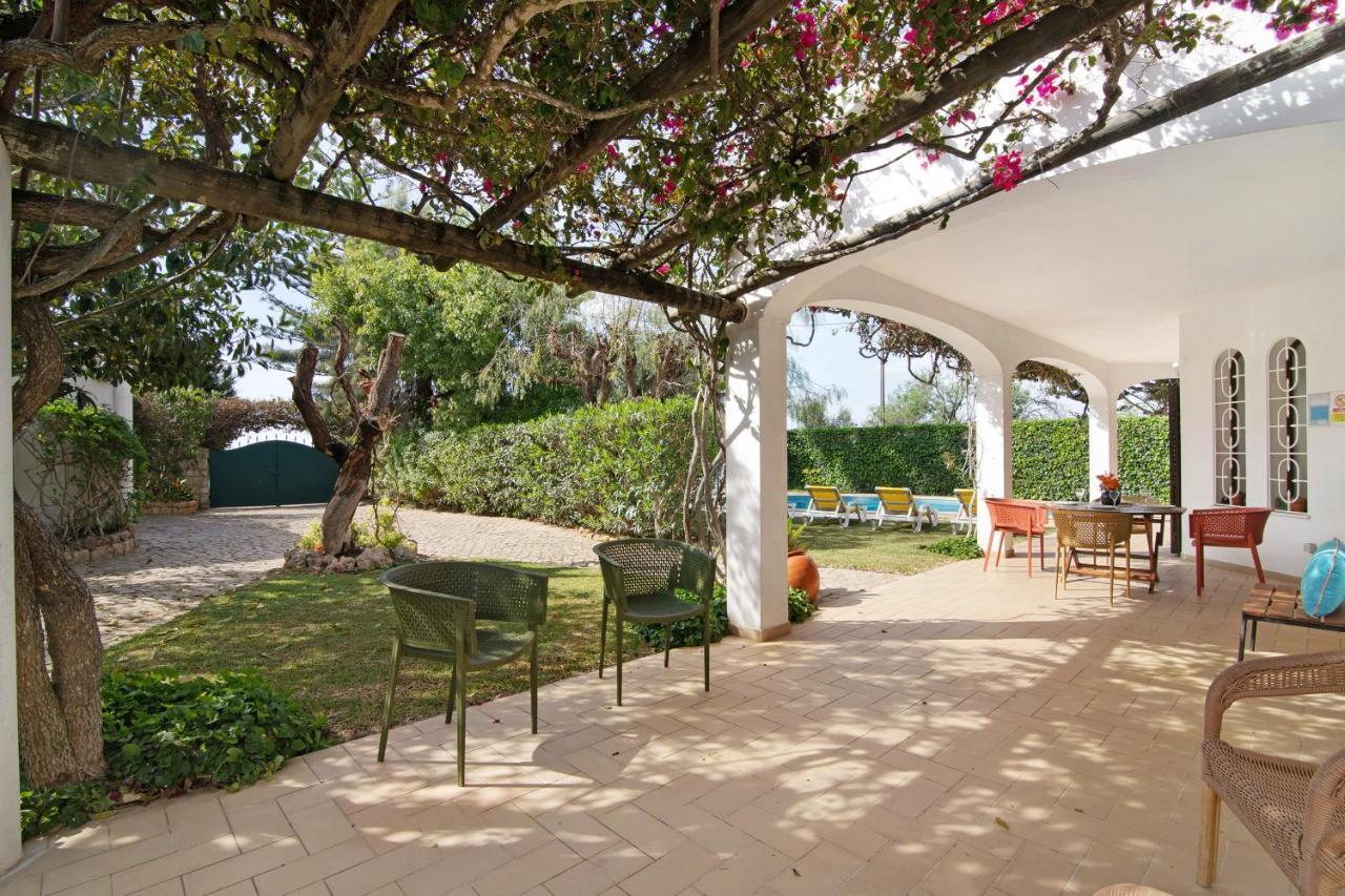 Villa Casa Da Oliveira *