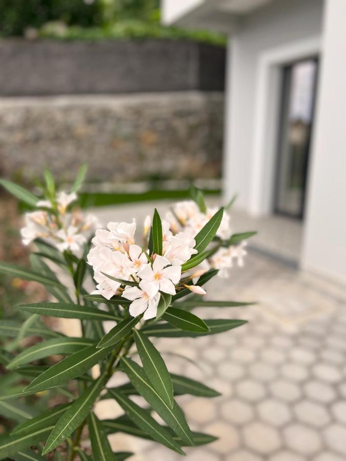 Dona I At Botanical Garden Appartement