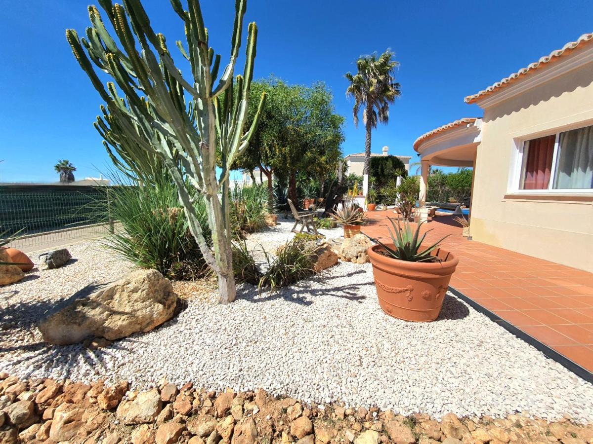 Oceanfront - 8 Rooms, 2 Kitchens With Pool, Billiard Table And Beach-volleyball Court Villa *