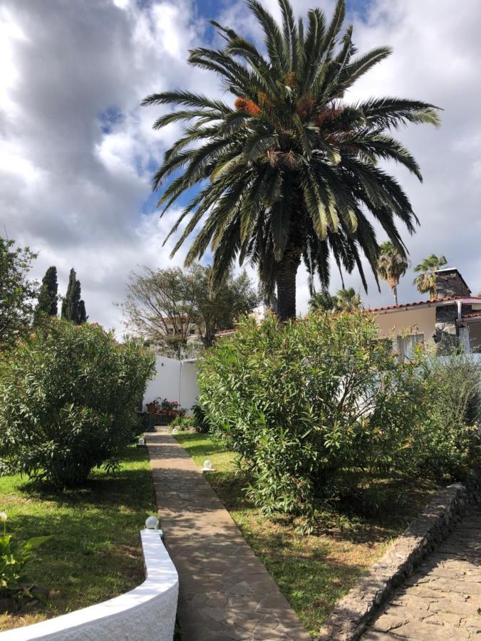 Holiday home Casa Palmeira - Mit Meerblick *