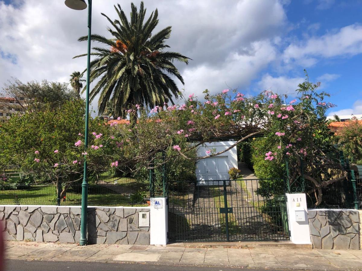 Casa Palmeira - Mit Meerblick Holiday home Canico (Madeira)