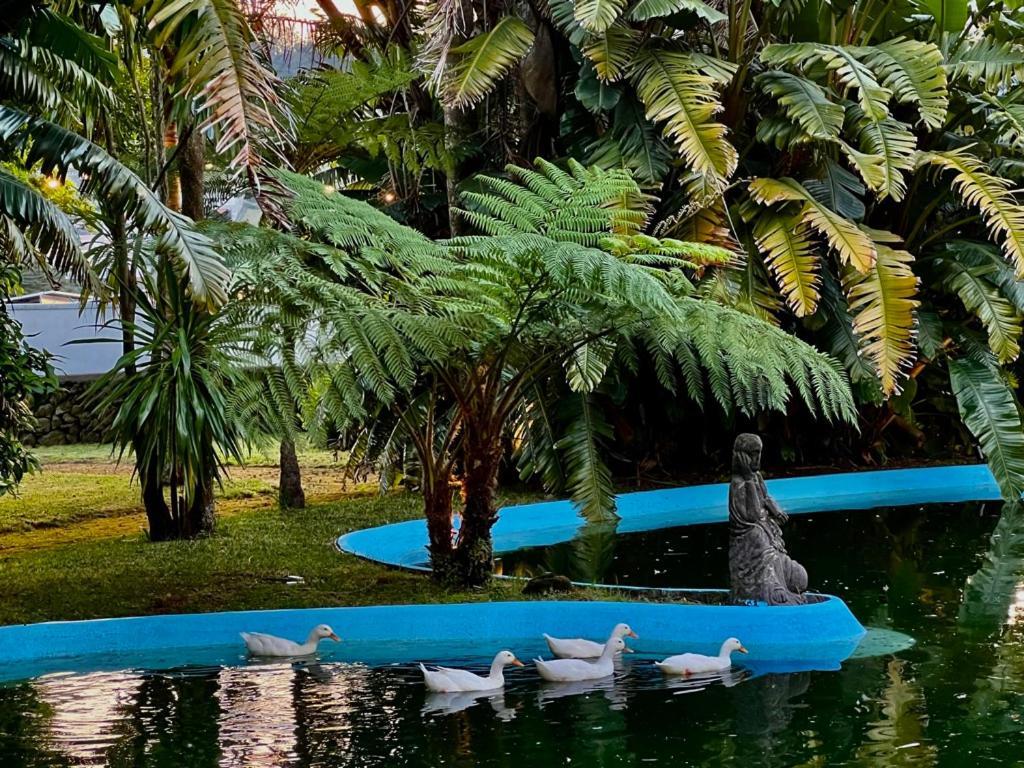 Quinta Da Nasce Agua Aparthotel 4*