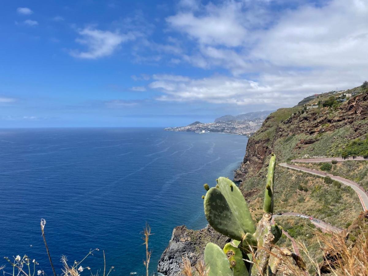 Panoramic Views I