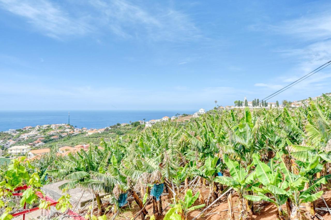 Casa de férias Casa De Ponte, A In Madeira