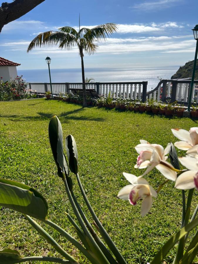 Tropical Garden *