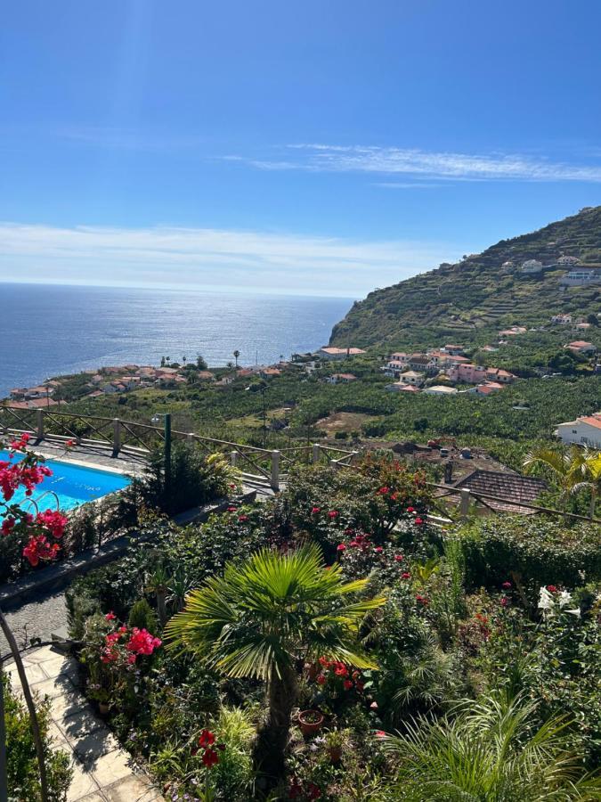 Tropical Garden Holiday home Arco da Calheta (Madeira)