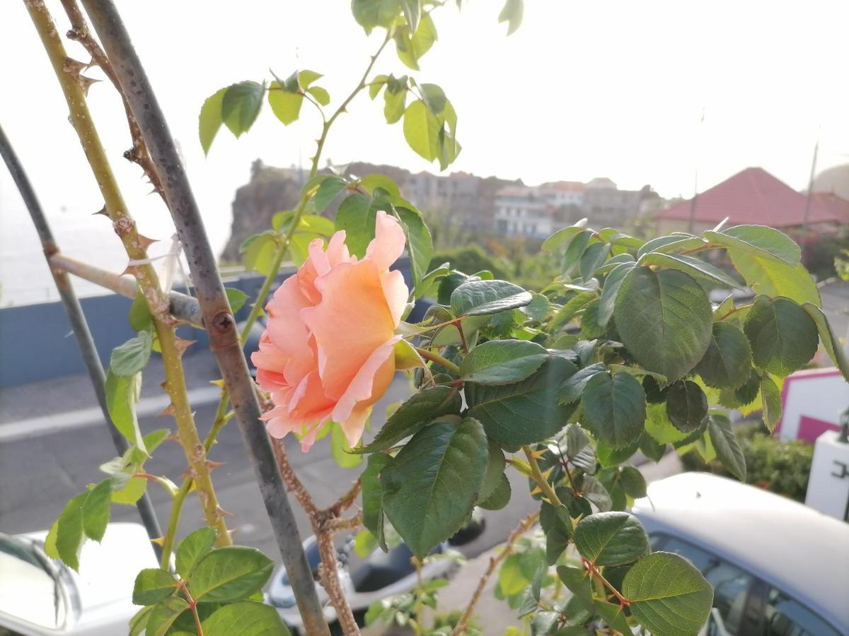 Pousada Westerland House Ribeira Brava