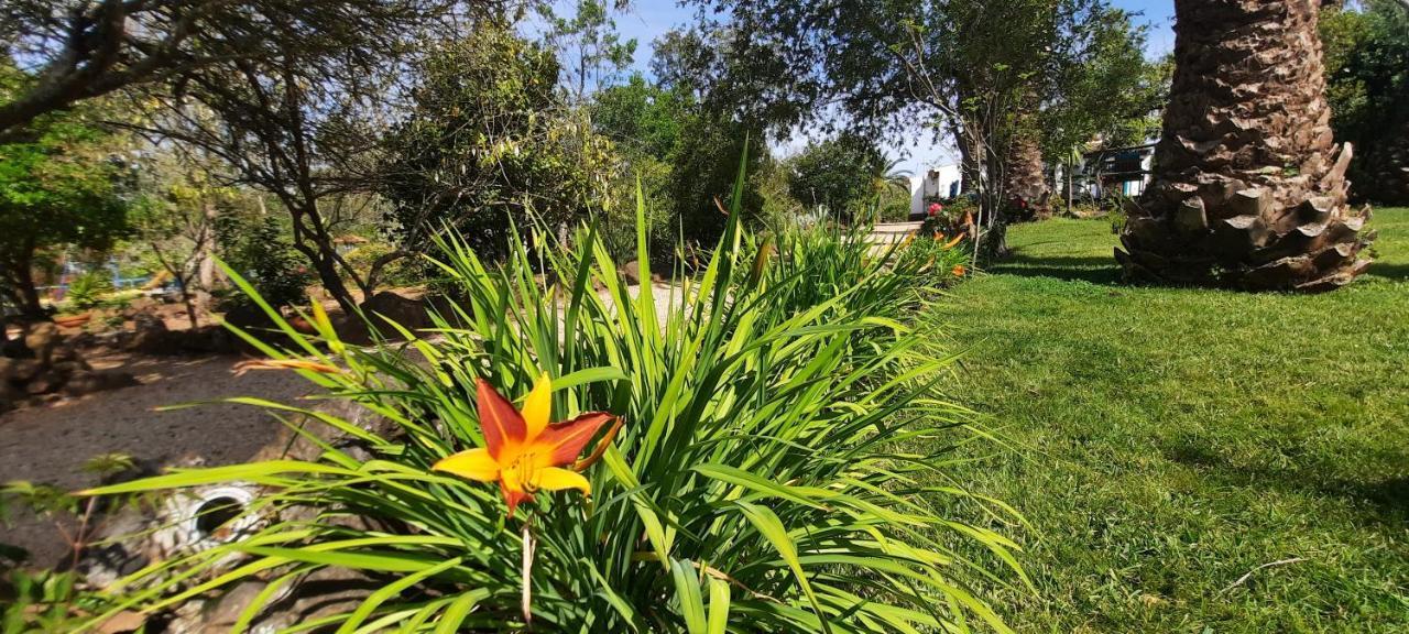 Quinta Do Paraiso Holiday home *