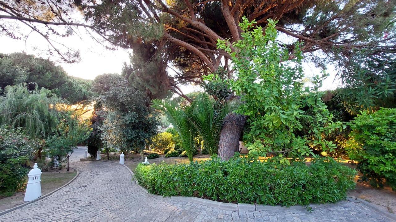 Casa Jolie Villa *