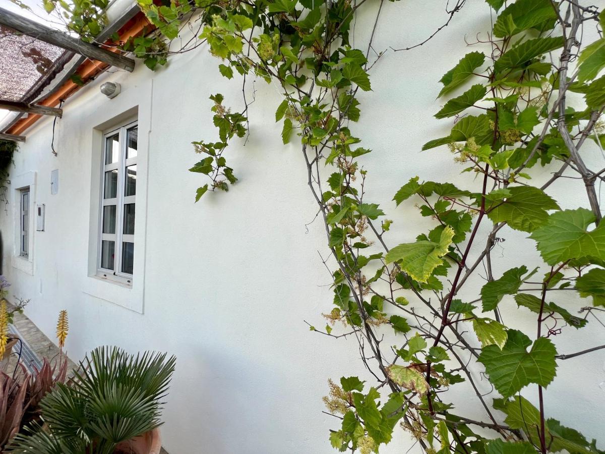 Pequeno Paraiso, 6 Guests, * São Brás de Alportel