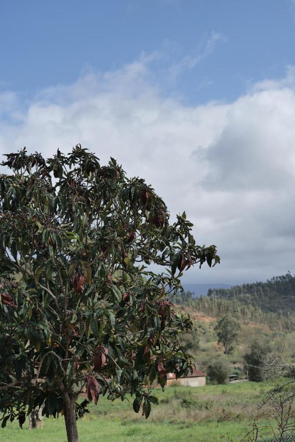 Recanto Da Ribeira Country house