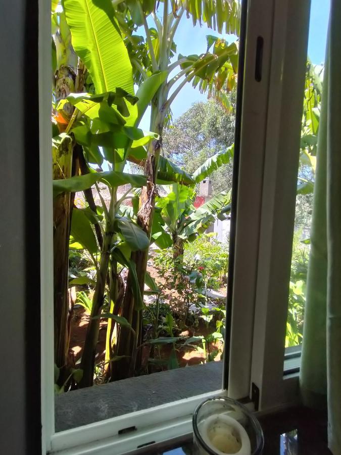 Sea Mountain House * Machico (Madeira)