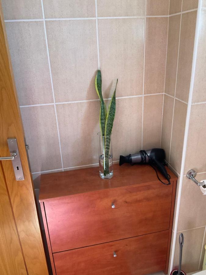 Apartment Moniz *