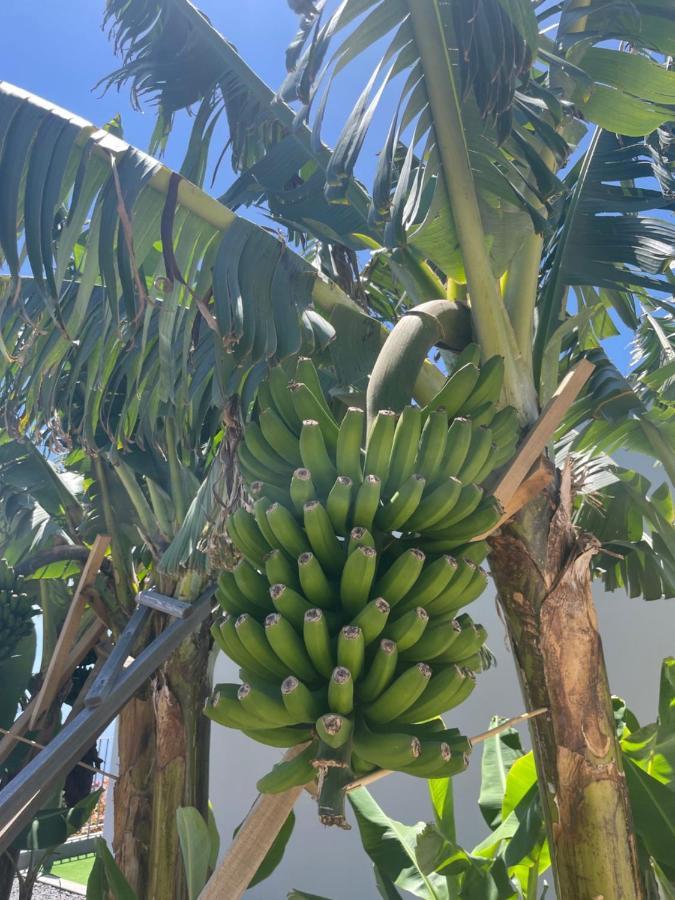 Pousada King's Paradise