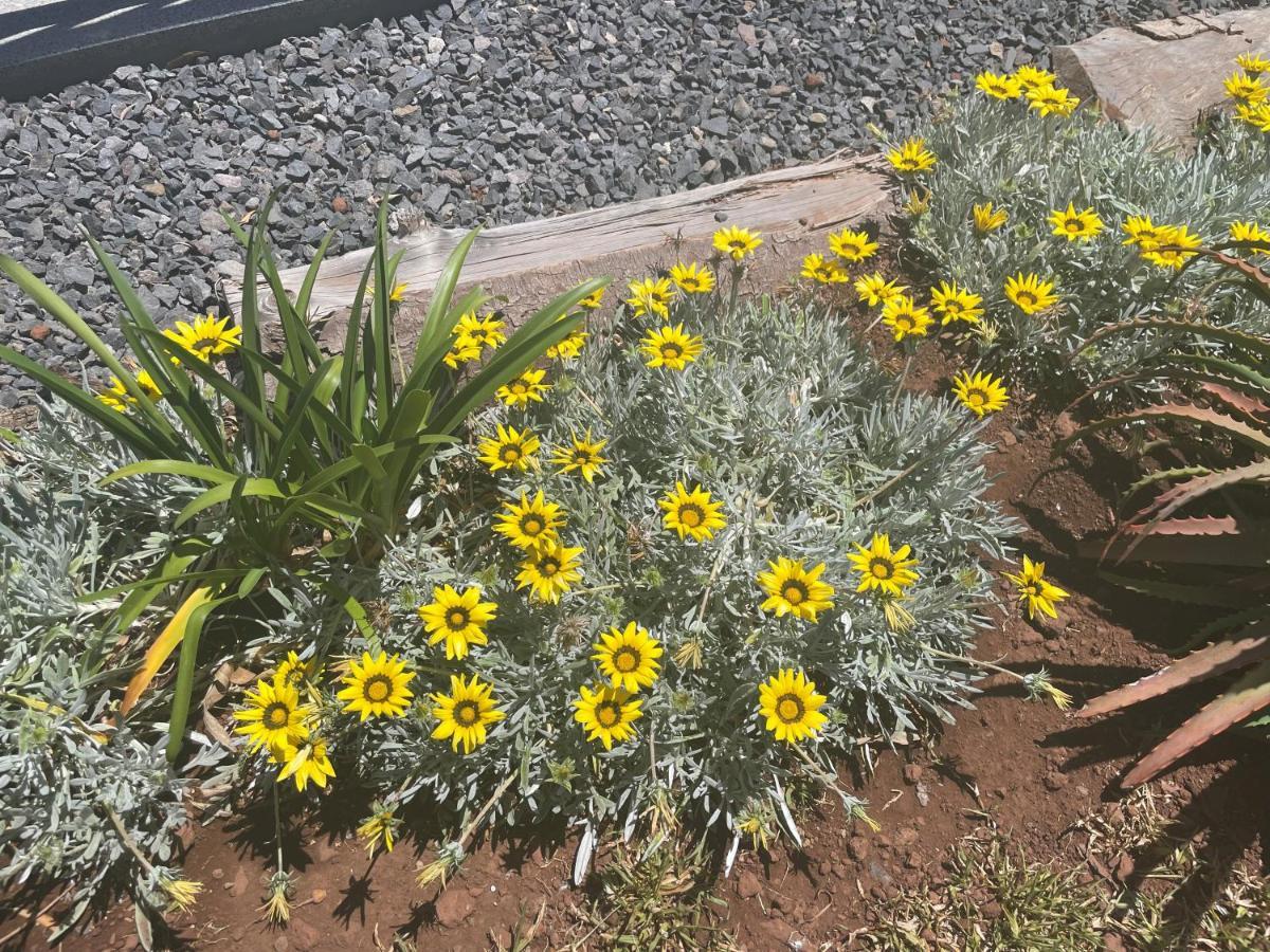 King's Paradise Estreito Da Calheta