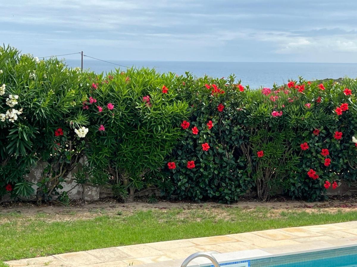 Vila Rosa Сasa de vacaciones