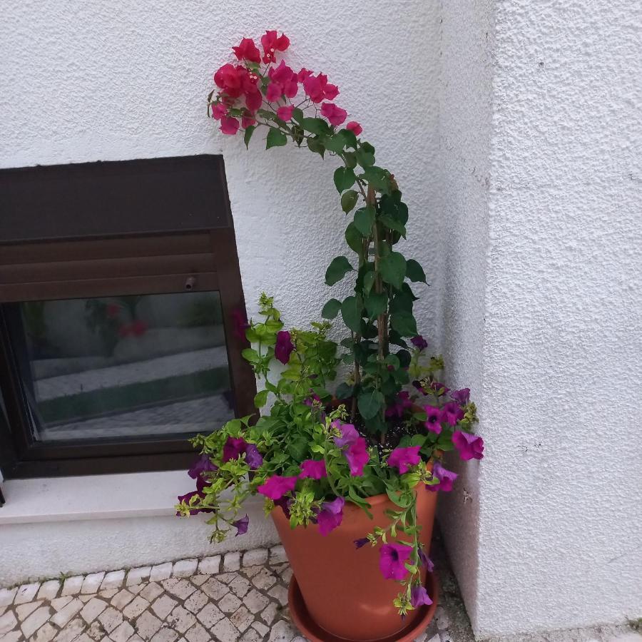 Apartment Bela Vista Nazare