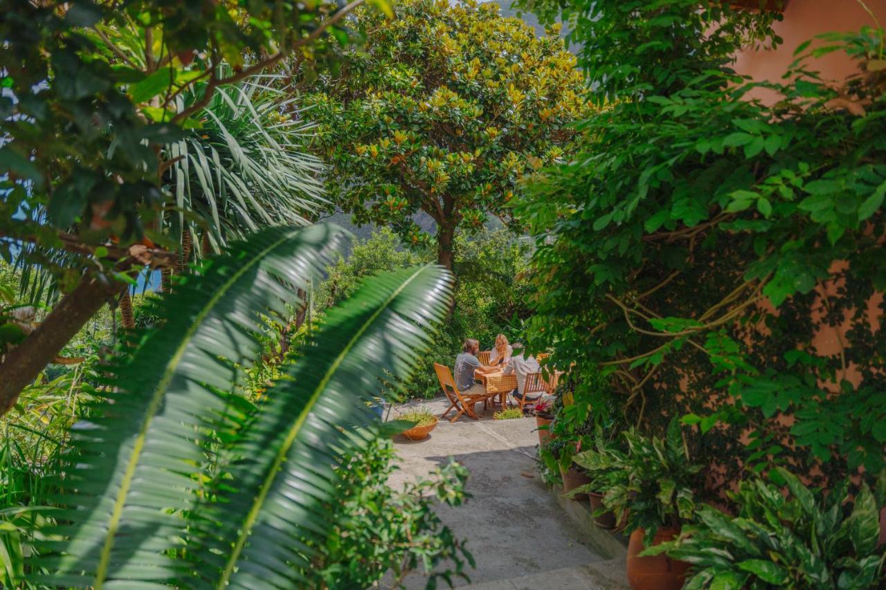Guest house Madeira Surf Sao Vicente (Madeira)