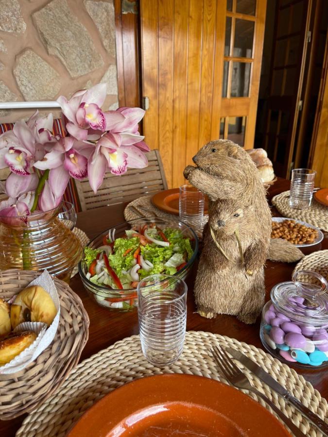 Safari Charm Holiday home *