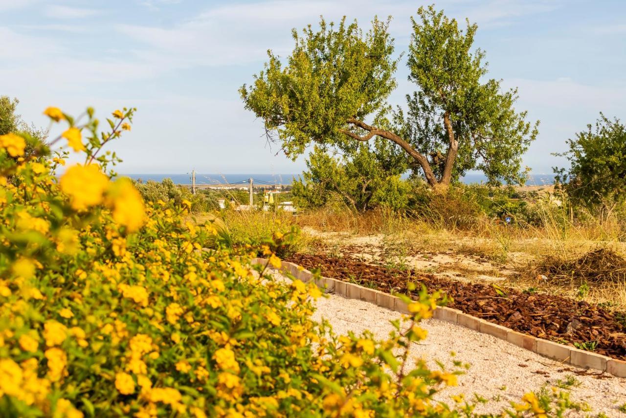 Quinta Da Baleeira Сasa de vacaciones Tavira