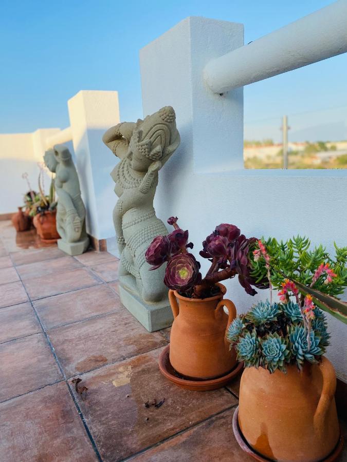 Bed & Breakfast Palm View Guesthouse, Adults Only
