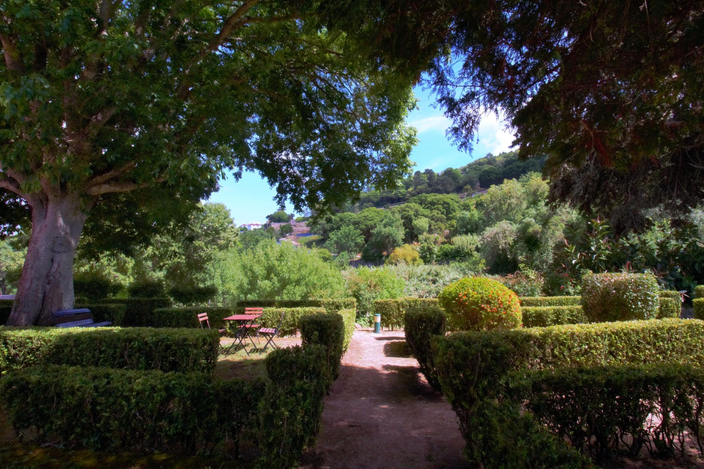 Wot Sintra Sarrazola