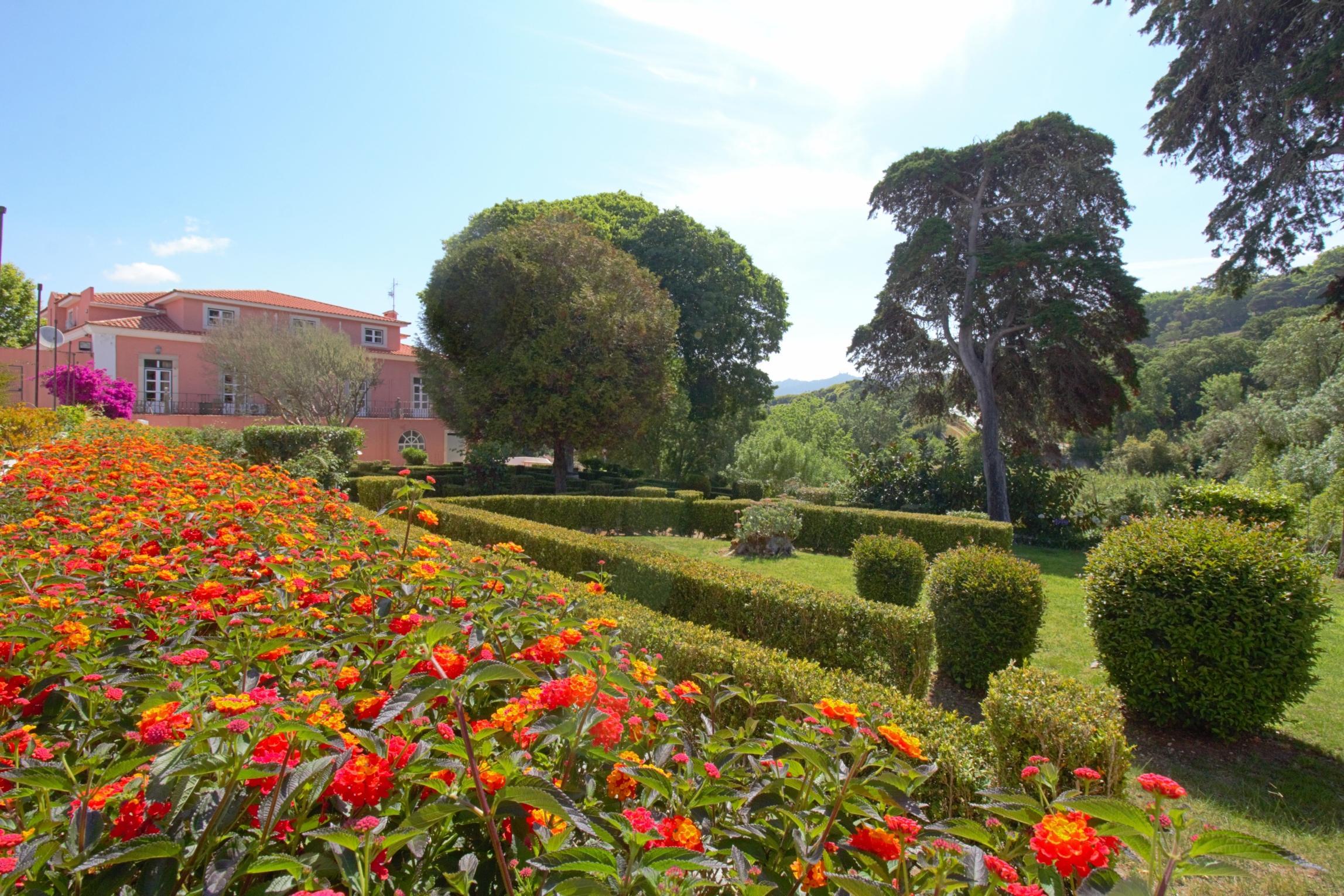 Wot Sintra Sarrazola Colares