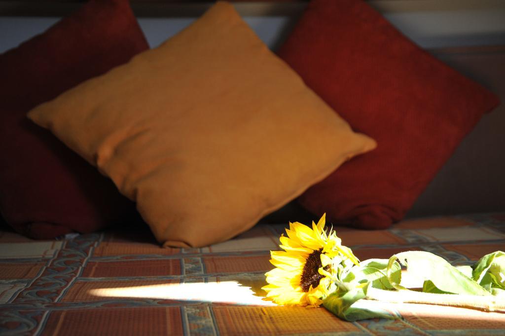 Casa De Trajinha Bed & Breakfast 3*