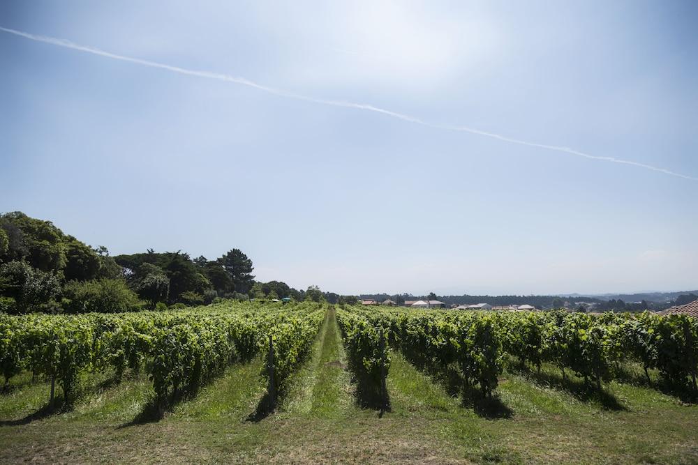 Quinta Do Paco D'anha