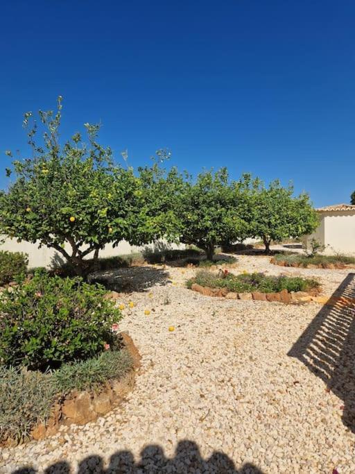 Villa Vivenda Sabrina
