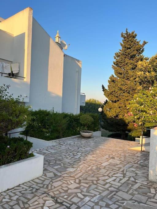 Apartment Casa Oliveira - Algarve *