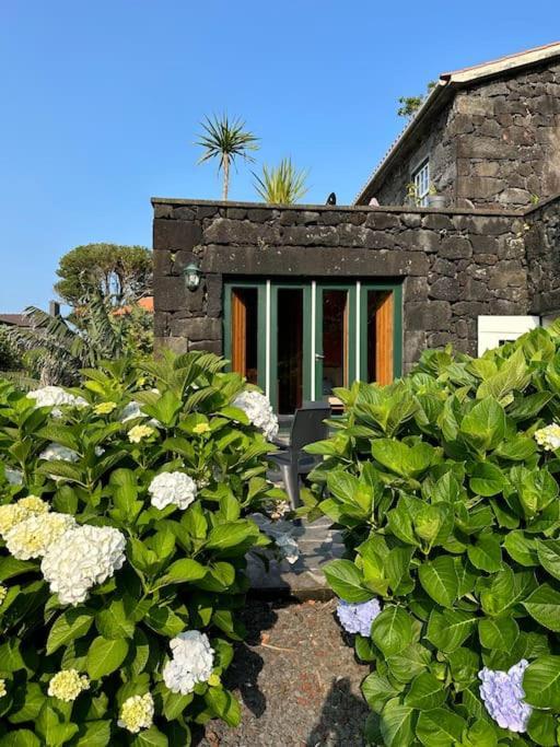 Holiday home Casa Pequena Da Terra Alta *