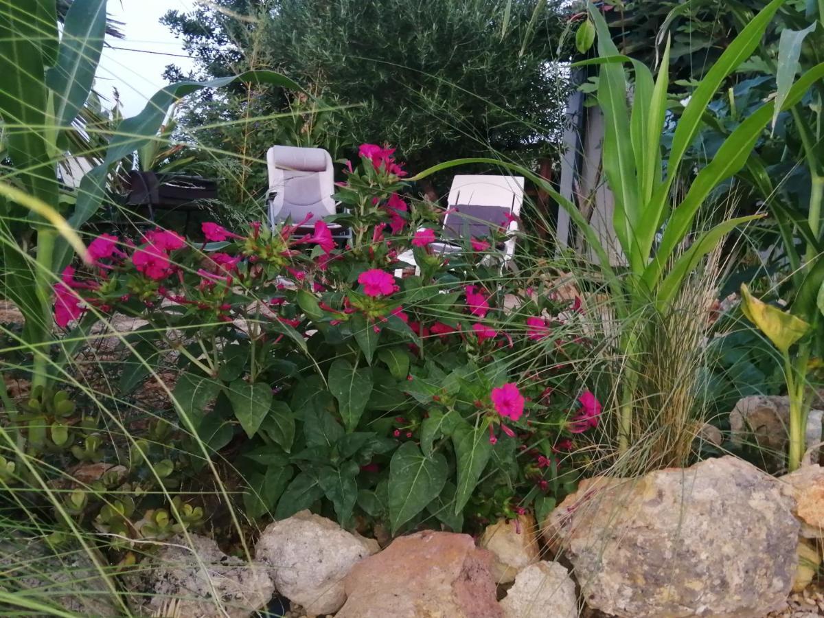 Glamping Algarve Retiro Dos Sonhos * Porches (Algarve)