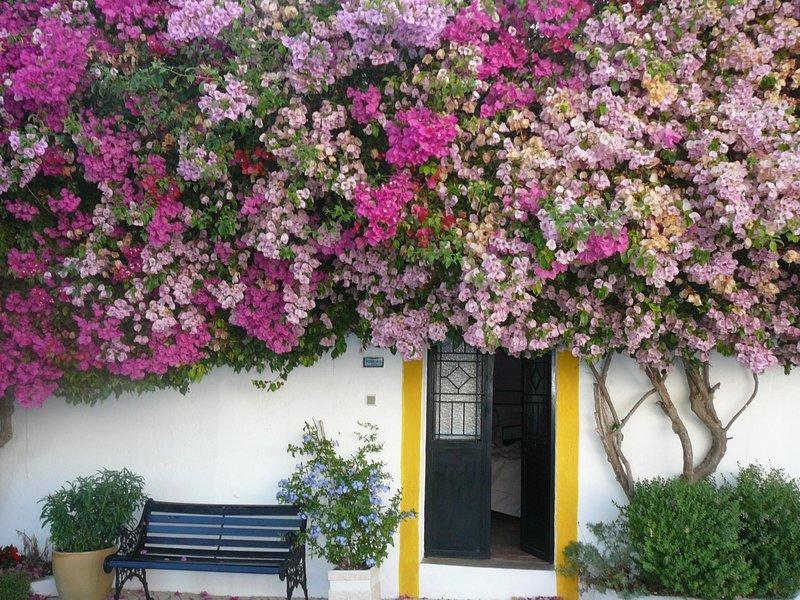 Guest house Rio Arade Algarve Manor House