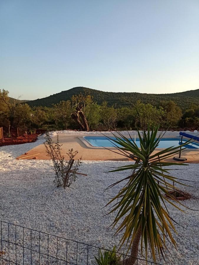 Bed and breakfast Casa Flamenga *