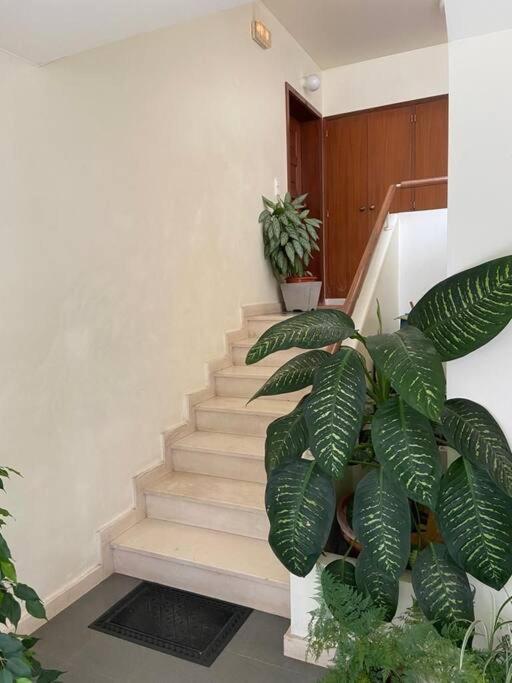 Residencia Azevedo Camara de Lobos