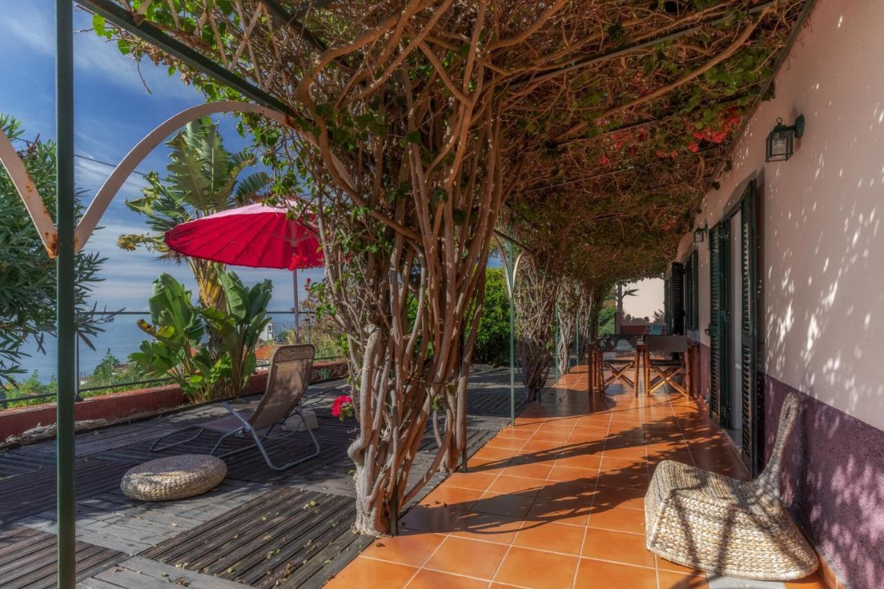 Cozy Flora By Hr Madeira