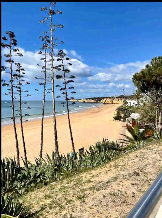 Ocean Breeze Apartamento *